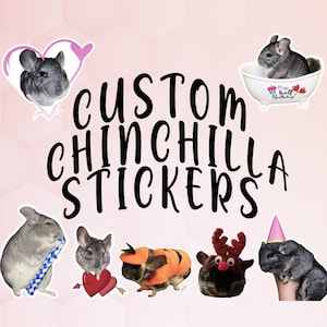 Chinchilla Custom Die-cut Photo Sticker