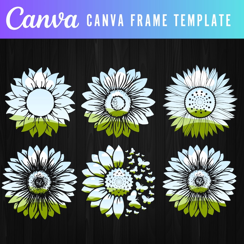 May include: Set of six sunflower frame templates with a blue sky and green grass background. The sunflowers are white with black centers and green leaves. Some of the sunflowers have butterflies flying around them.