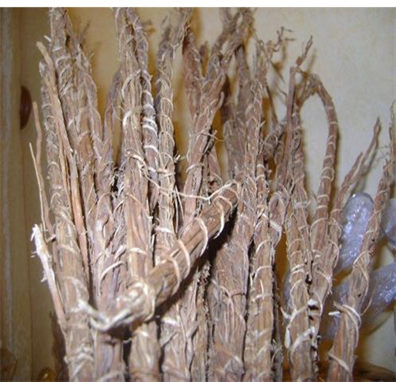 KHAMARE or Vetiver Root or GONGOLILI 10 Stems 