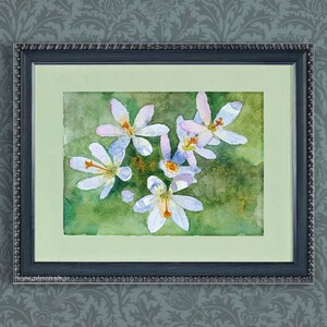 Wild flowers, a watercolor study