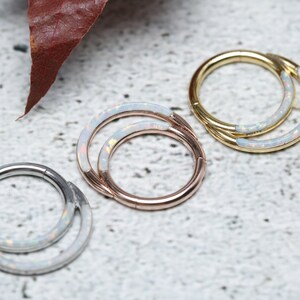 Weiß Opal Doppel Hoop Septum Schmuck 16G Nasenring & Ohrstecker Knorpel Ohrring Helix Piercing Septum Schmuck Conch Piercing Nase Ring Hoop