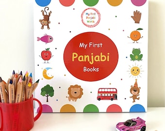 The Worlds FIRST Panjabi book-set.