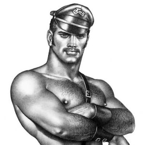 Dibujo vintage de Tom of Finland en alta calidad, 14 fotografías
