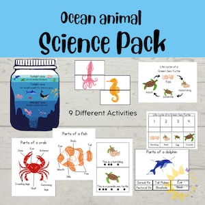 Ocean Animal Science Pack