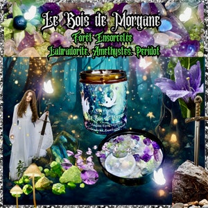 Peut inclure: Un bocal de bougie avec un récipient en verre brun foncé et une étiquette blanche qui indique "Le Bois de Morgiane, Foret Ensorcelée, Labradorite, Amethystes, Peridot". La bougie est entourée de cristaux verts, violets et blancs.
