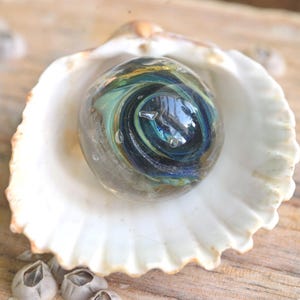 May include: A glass marble with swirling blue, green, and gold patterns inside a white seashell.