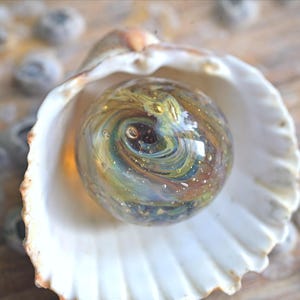 May include: A swirling glass marble with gold, blue, and white colors inside a white seashell. The marble has a galaxy-like pattern.