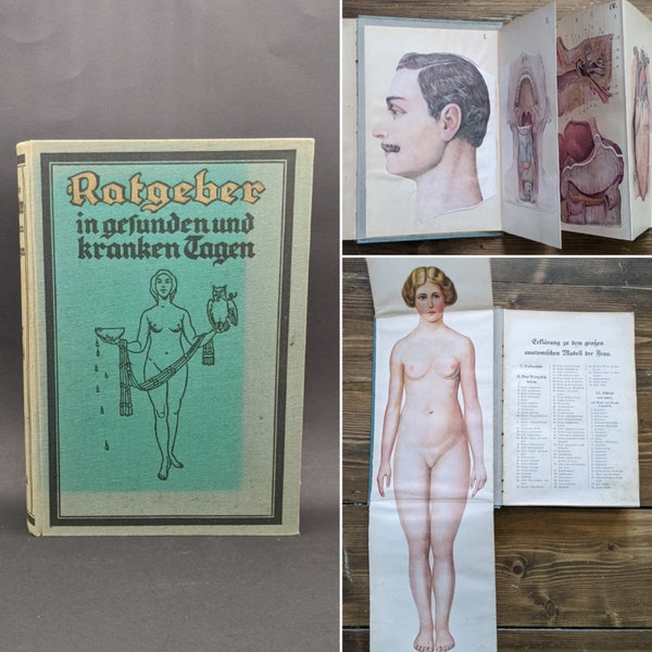 1928 German Medical & Health Book 'RATGEBER', Incredible Anatomical Pull-Outs and Illustrations, Art Deco Medical Graphics Collector's Book.