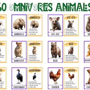 60 omnivoor dieren flashcards | Flashcards leren voor kinderen | Educatieve kaarten | Afdrukbare montessori | Werkbladen voor voorschools leren