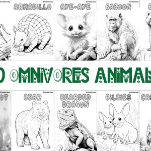 60 printable omnivore animal coloring sheets featuring bird-themed designs, wildlife-inspired pages suitable for kids and adults, engaging and relaxing creative activity, instant download for nature and wildlife enthusiasts