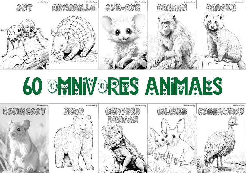 60 printable omnivore animal coloring sheets featuring bird-themed designs, wildlife-inspired pages suitable for kids and adults, engaging and relaxing creative activity, instant download for nature and wildlife enthusiasts