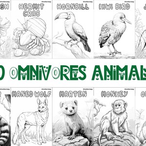 60 printable omnivore animal coloring sheets featuring bird-themed designs, wildlife-inspired pages suitable for kids and adults, engaging and relaxing creative activity, instant download for nature and wildlife enthusiasts