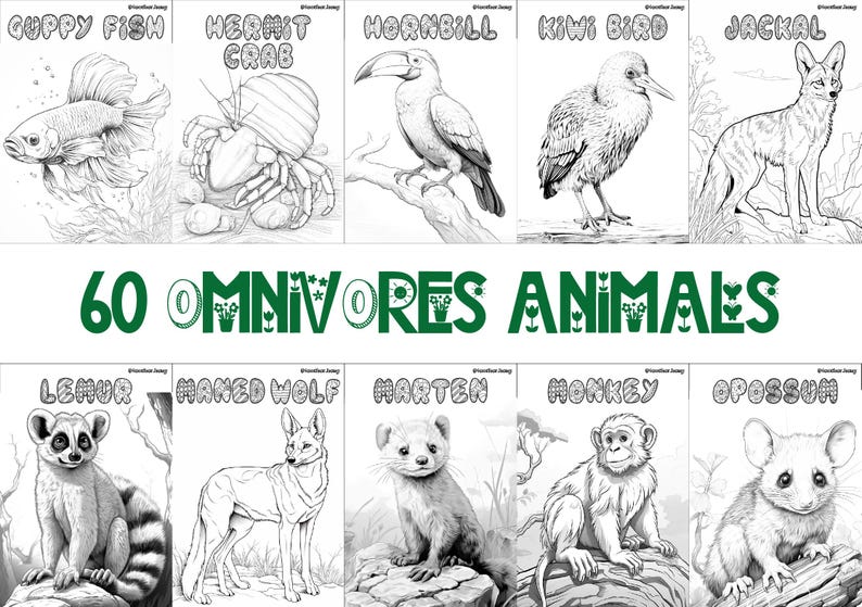 60 printable omnivore animal coloring sheets featuring bird-themed designs, wildlife-inspired pages suitable for kids and adults, engaging and relaxing creative activity, instant download for nature and wildlife enthusiasts