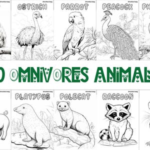 60 printable omnivore animal coloring sheets featuring bird-themed designs, wildlife-inspired pages suitable for kids and adults, engaging and relaxing creative activity, instant download for nature and wildlife enthusiasts