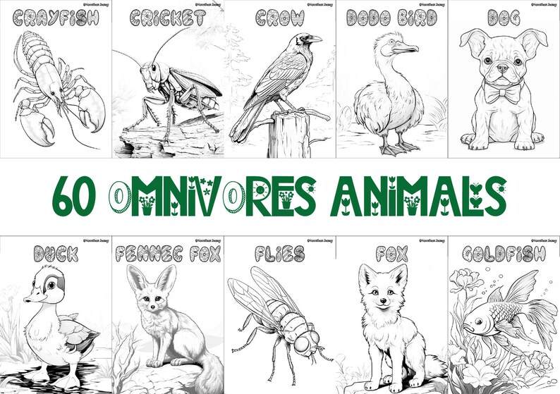 60 printable omnivore animal coloring sheets featuring bird-themed designs, wildlife-inspired pages suitable for kids and adults, engaging and relaxing creative activity, instant download for nature and wildlife enthusiasts