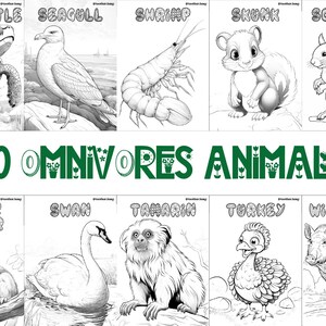 60 printable omnivore animal coloring sheets featuring bird-themed designs, wildlife-inspired pages suitable for kids and adults, engaging and relaxing creative activity, instant download for nature and wildlife enthusiasts