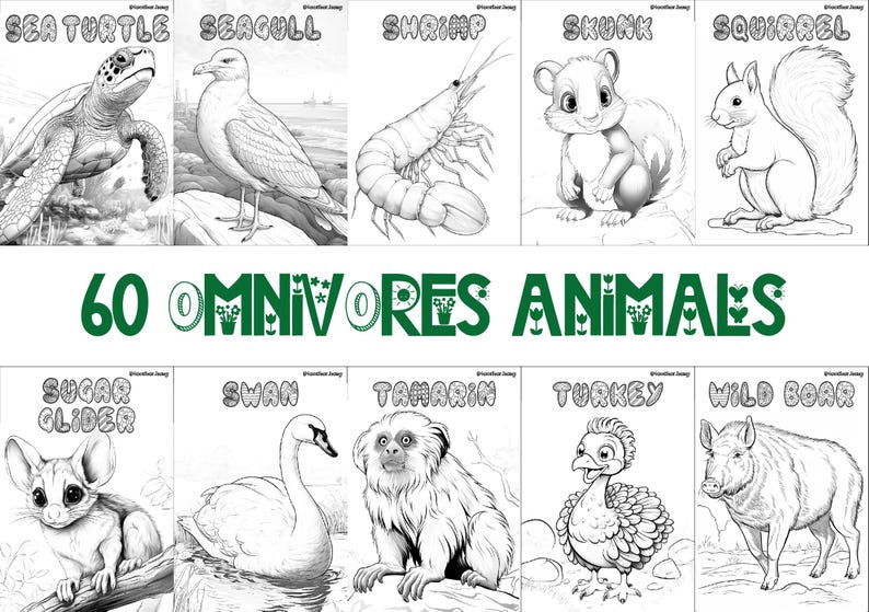 60 printable omnivore animal coloring sheets featuring bird-themed designs, wildlife-inspired pages suitable for kids and adults, engaging and relaxing creative activity, instant download for nature and wildlife enthusiasts