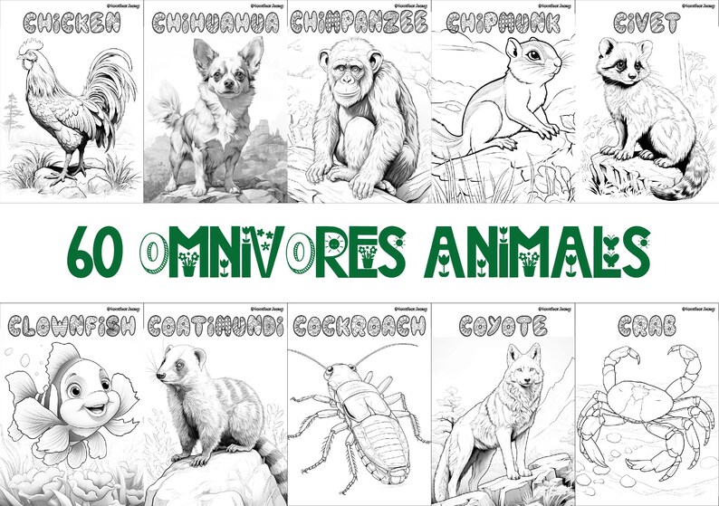 60 printable omnivore animal coloring sheets featuring bird-themed designs, wildlife-inspired pages suitable for kids and adults, engaging and relaxing creative activity, instant download for nature and wildlife enthusiasts