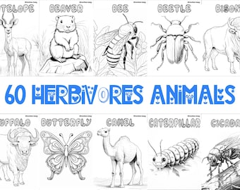 60 hojas para colorear de animales herbívoros / Páginas imprimibles divertidas con temática de animales / Actividad relajante para todas las edades / PDF inspirado en la vida silvestre y la naturaleza
