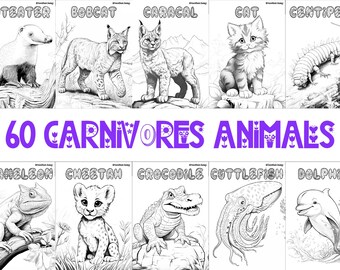 60 hojas para colorear de animales carnívoros / Páginas imprimibles divertidas con temática de animales / Actividad relajante para todas las edades / PDF inspirado en la vida silvestre y la naturaleza