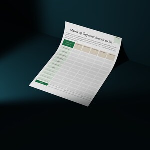 Matrix of Opportunities Coaching Exercise: Decision Making Tool (Digital Product) image 6