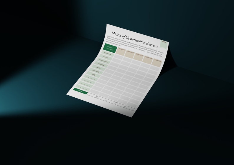 Matrix of Opportunities Coaching Exercise: Decision Making Tool (Digital Product) image 6