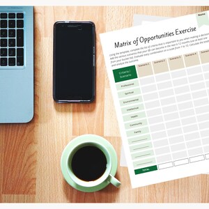 Matrix of Opportunities Coaching Exercise: Decision Making Tool (Digital Product) image 9