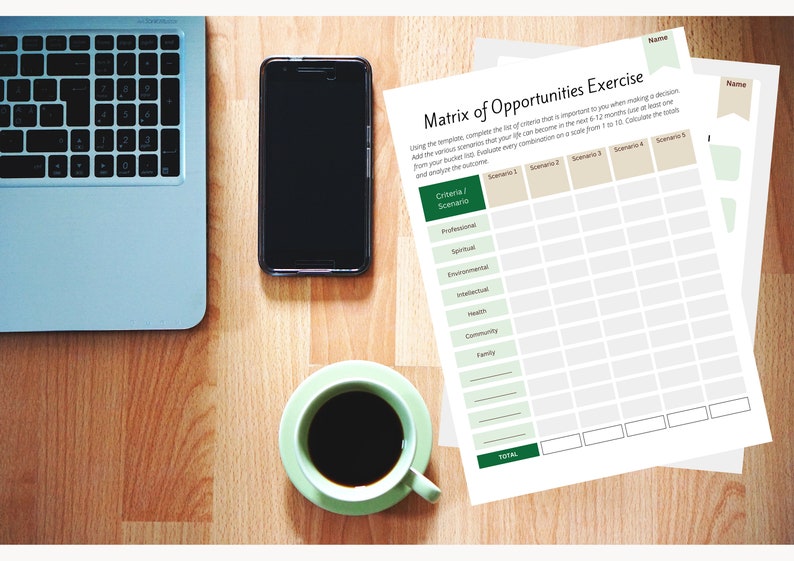 Matrix of Opportunities Coaching Exercise: Decision Making Tool (Digital Product) image 9