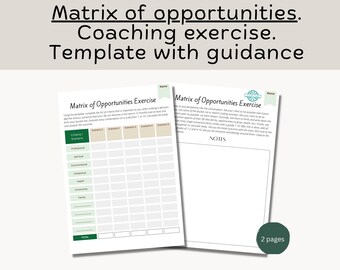 Matrix of Opportunities Coaching Exercise: Decision Making Tool (Digital Product)