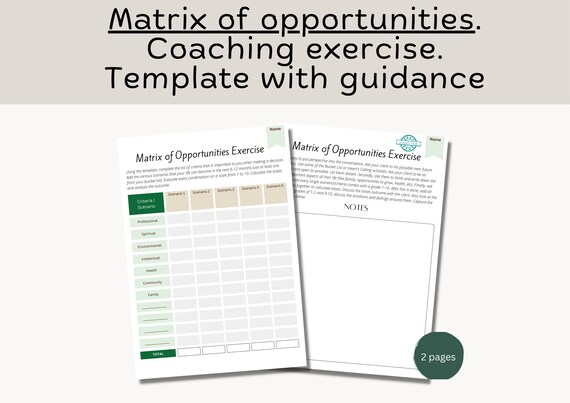 Matrix of Opportunities Coaching Exercise: Decision Making Tool (Digital Product)