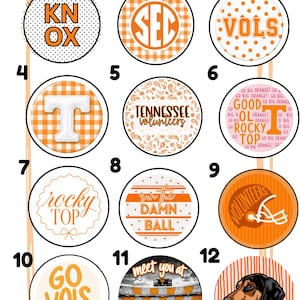 May include: A collection of twelve circular buttons featuring orange and white designs. Graphics include text like KNOX, VOLS, TENNESSEE VOLUNTEERS, ROCKY TOP, RUN THE DAMN BALL, GO VOLS, and MEET YOU AT NEYLAND STADIUM, alongside patterns, a football helmet, and a dog illustration.