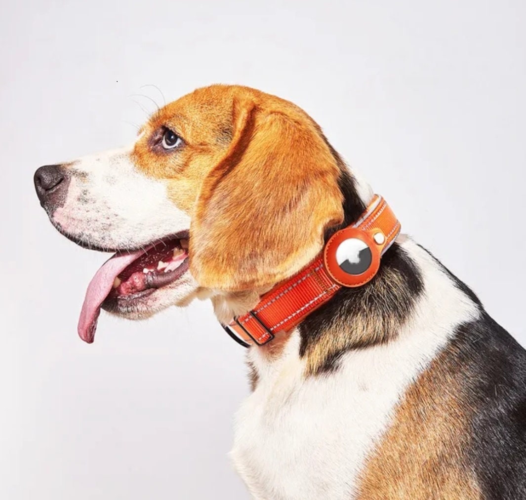 Airtag Hundehalsband Schutz Hülle Stouchi TPU Air Tag Halter Kompatibel mit  Apple Airtags 2021 Magnetisches Design mit Nägeln für Hunde Katzenhalsband  Haustier Weste Geschirre Halfter Kostüme : : Haustier