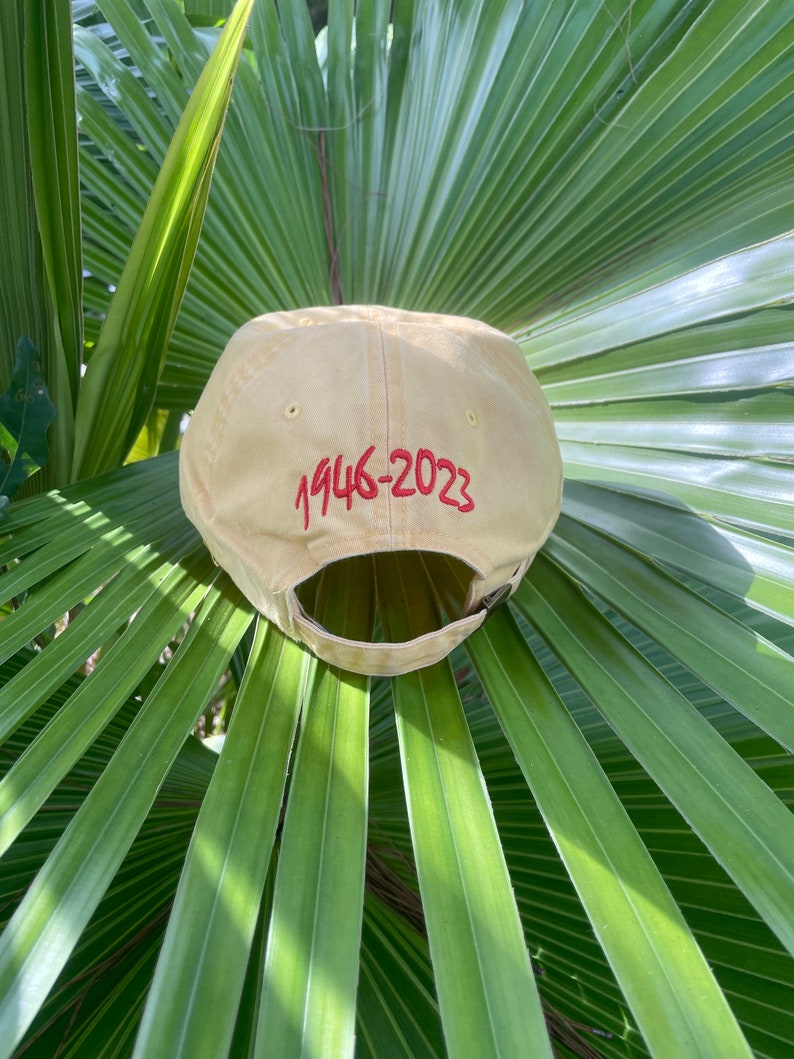 Jimmy Buffett Cheeseburger in Paradise Hat Etsy