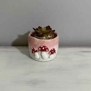 May include: A small, round ceramic planter with a pink and white speckled finish. The planter is decorated with three white mushrooms with red caps and white polka dots. A small succulent plant sits inside the planter.