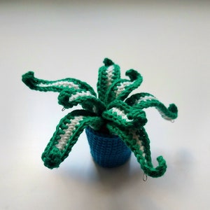 Crochet potted plant pattern/crochet flower with big leaves pattern/succulent amigurumi patterns
