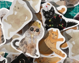 Pegatinas de gatos / Stickers / Cat lover / Gatitos/ Christmas / Vinil