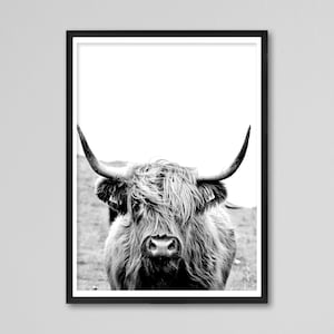 Black and White Highland Cow Print, Scottish Cattle Wall Art, Highland Cow Black and White, Highland Cow Print, Cow Poster, Wall Decor