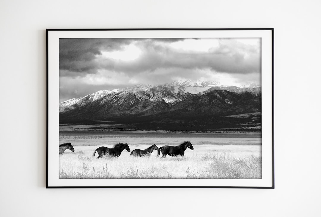 Desert Horses Photography Print: Southwest Black and White Wall Art ...