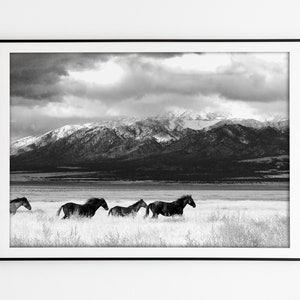 Running Desert Horses, Photography, Southwest Wall Art, Western Poster, Americana Western Decor, Horse Poster, Black and White Photography