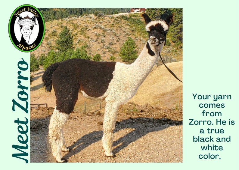 Alpaca Blk/Magenta Yarn 2-ply Worsted & Merino, alpaca sweater, knitting tool, crotchet supply, tutorials, alpaca blanket beanie, USA Made image 4