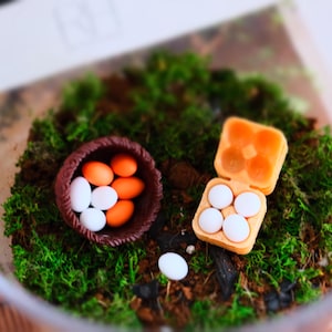 Conjunto de cesta de ovos e caixa de ovos em miniatura para jardim – perfeito para mossários/terrários