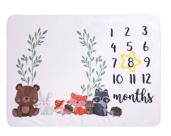 Milestone Blanket Month Growth Blanket