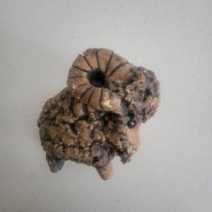 Puede incluir: Una pequeña figura de arcilla esculpida a mano de un carnero con un pelaje de lana rizado y texturizado en tonos marrón y bronceado. El carnero presenta un cuerno prominente en espiral en la cabeza y un ojo oscuro y liso visible.