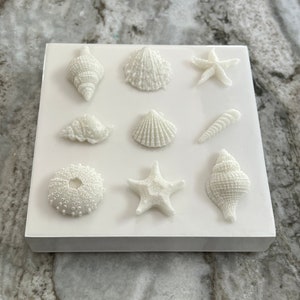 Seashell Art, shell decor, shell art, beach decor, Nautical Art Resin Sculpture Wall Hanging