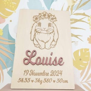 Placa de información para bebés, decoración de habitación infantil, póster de nacimiento, placa de puerta de madera grabada personalizada, temática de conejo