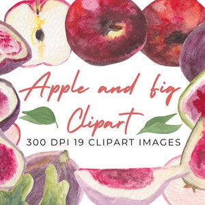 Clipart de maçã em aquarela, clipart de figo em aquarela, download instantâneo, fatias de maçã, cores de outono, uso pessoal e comercial