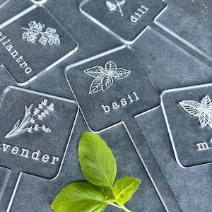 Estacas de acrílico gravadas para jardim de ervas, marcadores de plantas