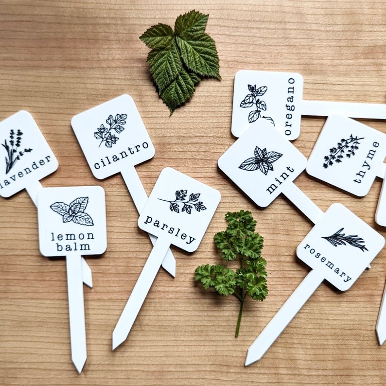 Herb and Vegetable Garden Stakes, Plant Markers, Vegetable Garden Labels, Herb Garden Markers, Acrylic Garden Stakes, Gardener's Gift image 5