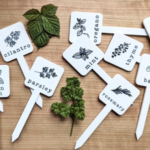 Herb and Vegetable Garden Stakes, Plant Markers, Vegetable Garden Labels, Herb Garden Markers, Acrylic Garden Stakes, Gardener's Gift image 9