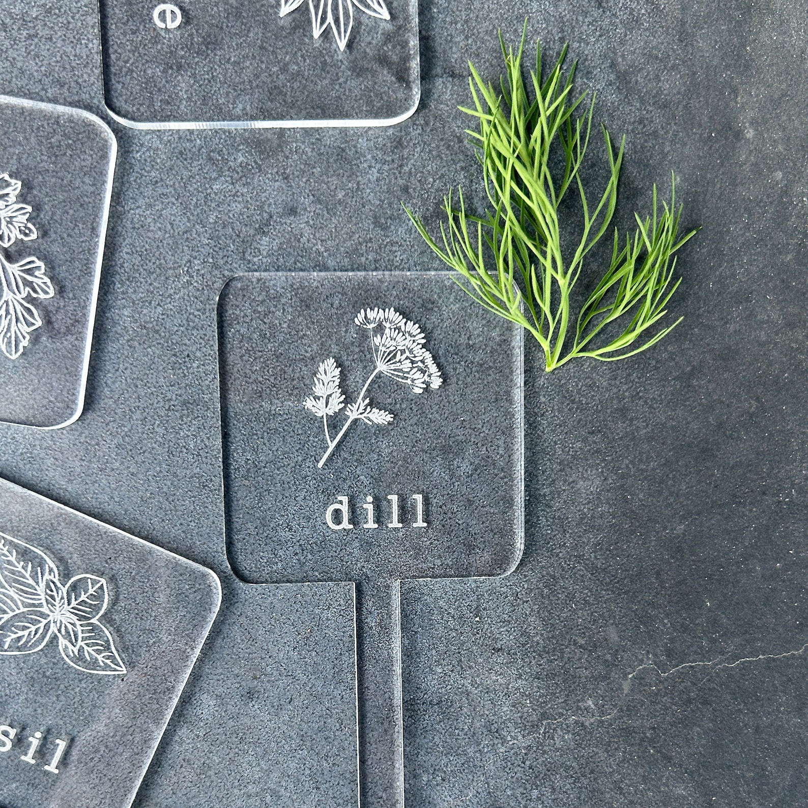 Engraved Acrylic Herb Plant Labels | Basil, Thyme, Cilantro, Parsley, Oregano, Chives, Mint, Sage